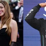 shakira-lewis-hamilton