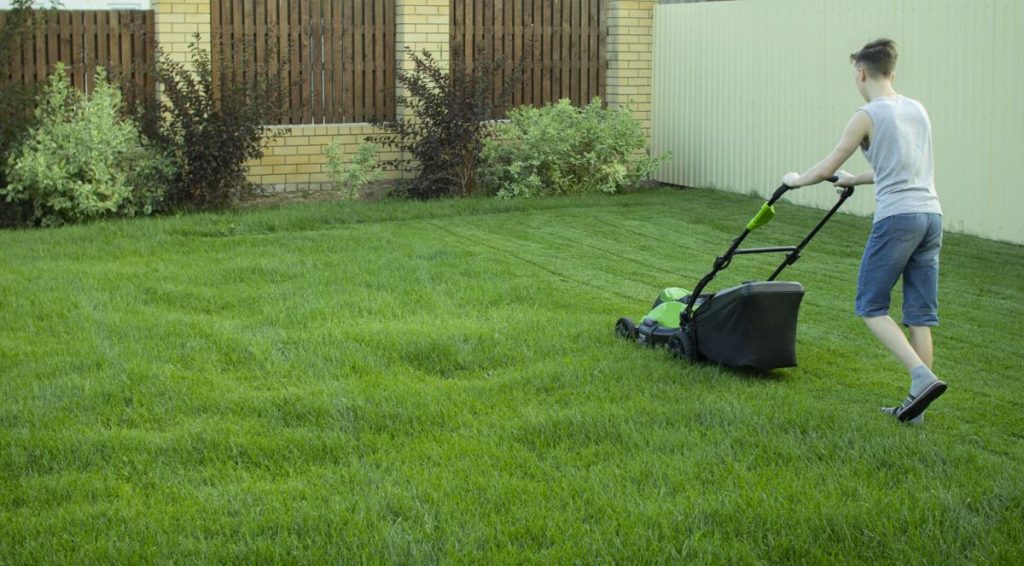Landscaping