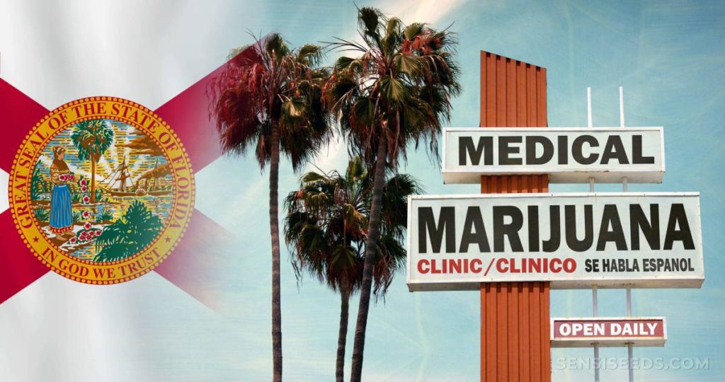 cannabis florida (1)