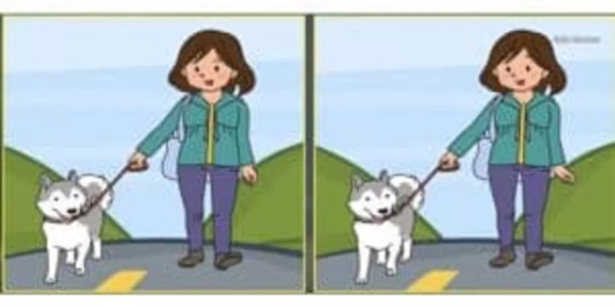 IQ Visual Test