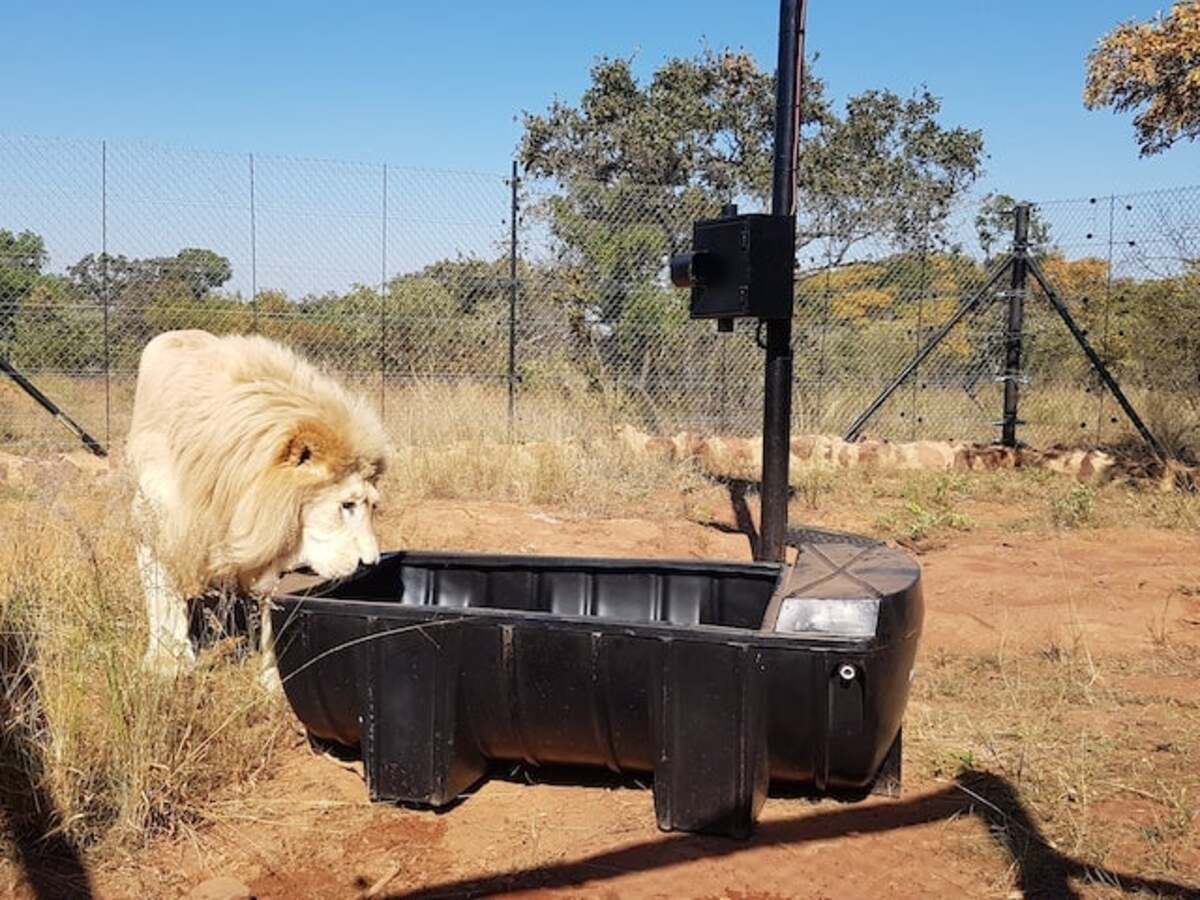 Wildlife Photographer_1