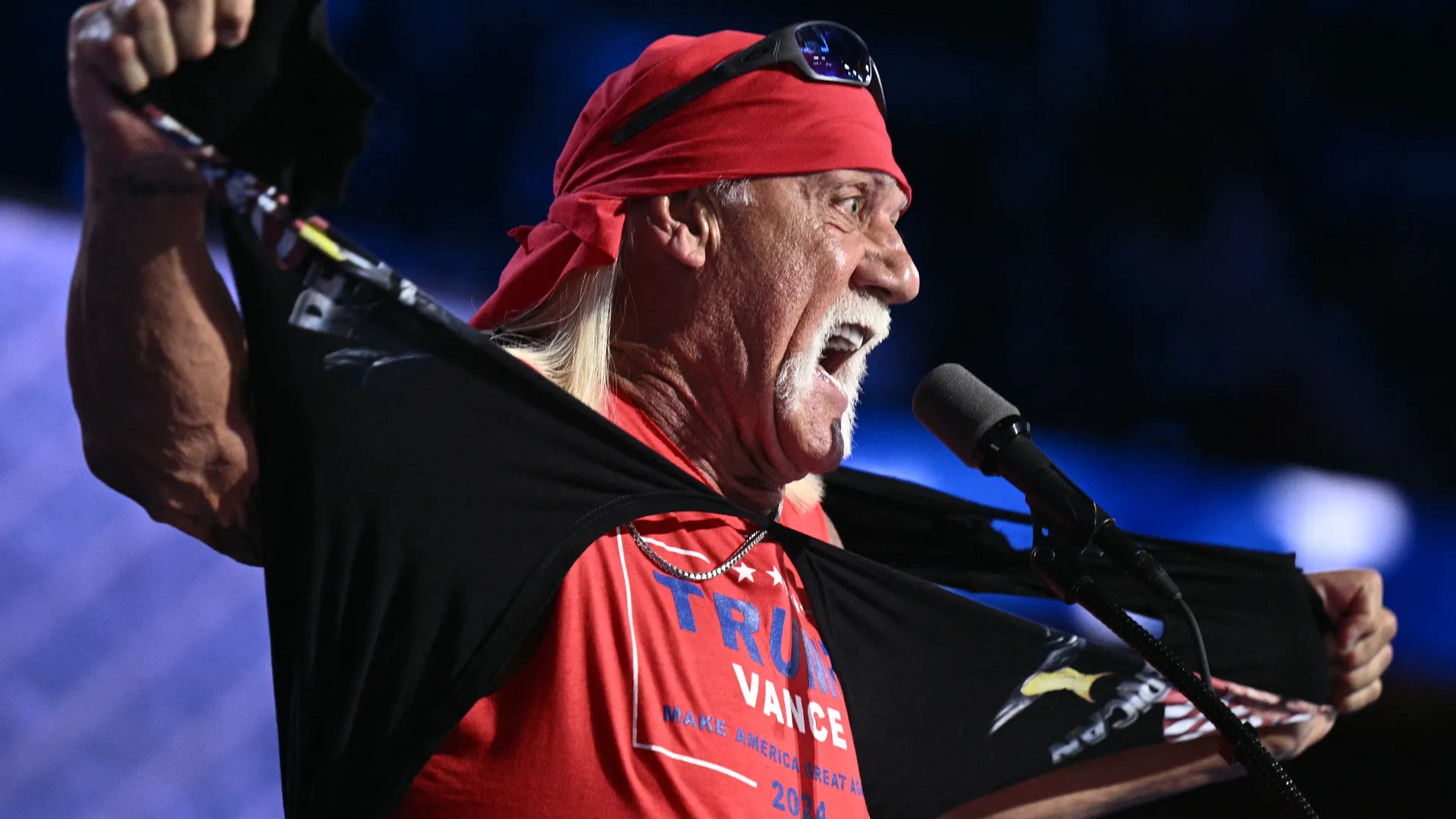 hulk hogan