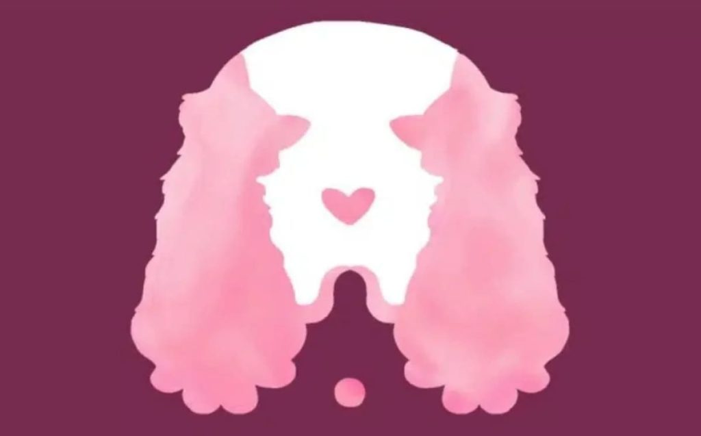 First Animal You See