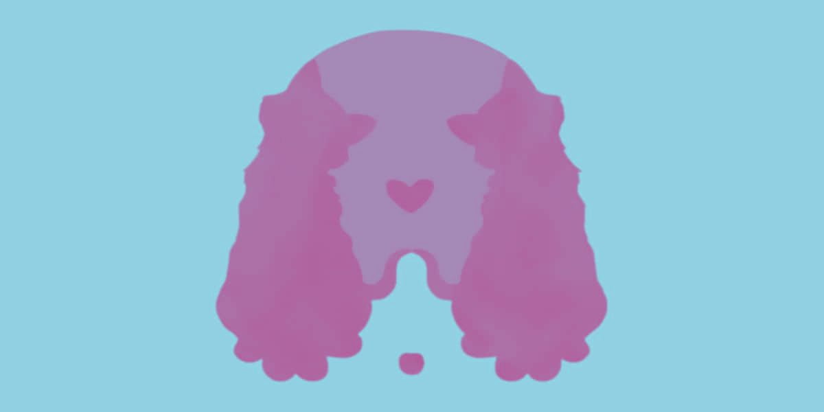 Animal Personality Quiz