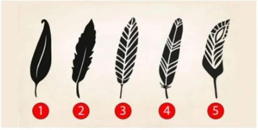 Pick a Feather and Learn What It Says About Your Character