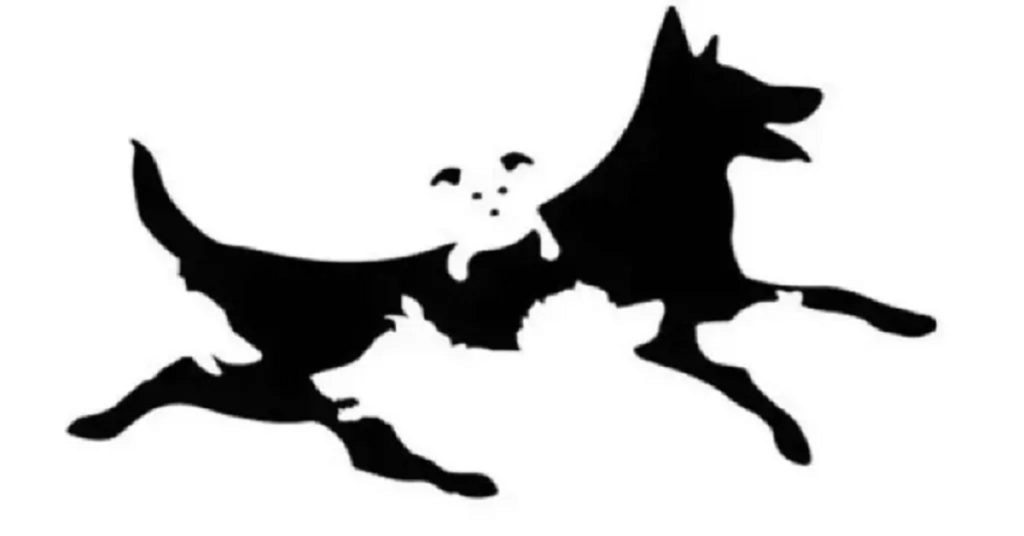 The Number of Dogs You See Reveals Your Mental Age